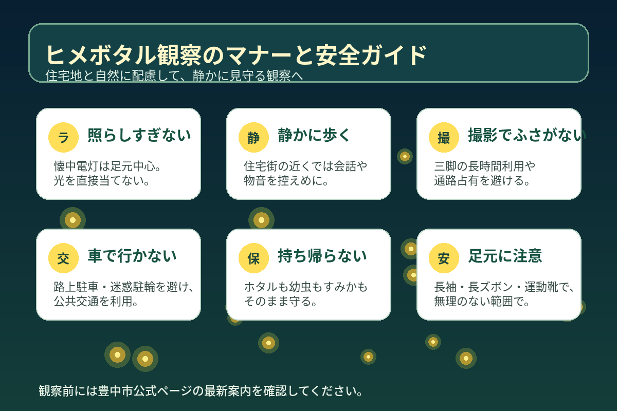 ヒメボタル観察で守りたいマナーと安全ポイント