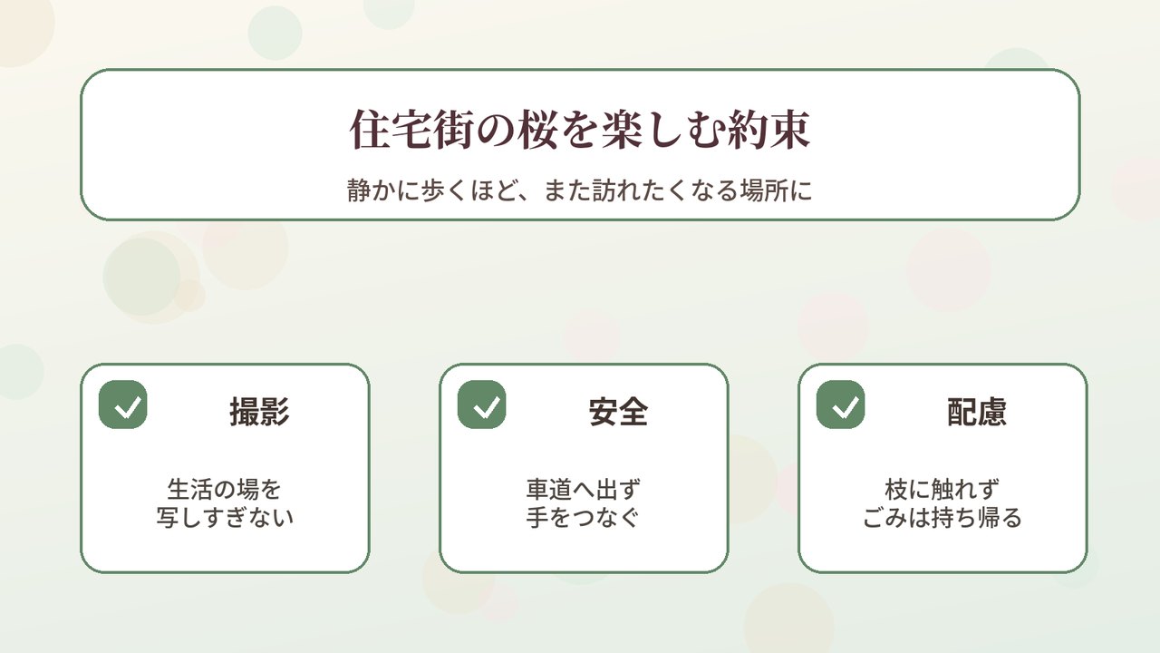 永楽荘の桜並木を歩く時のマナーと安全チェックリスト