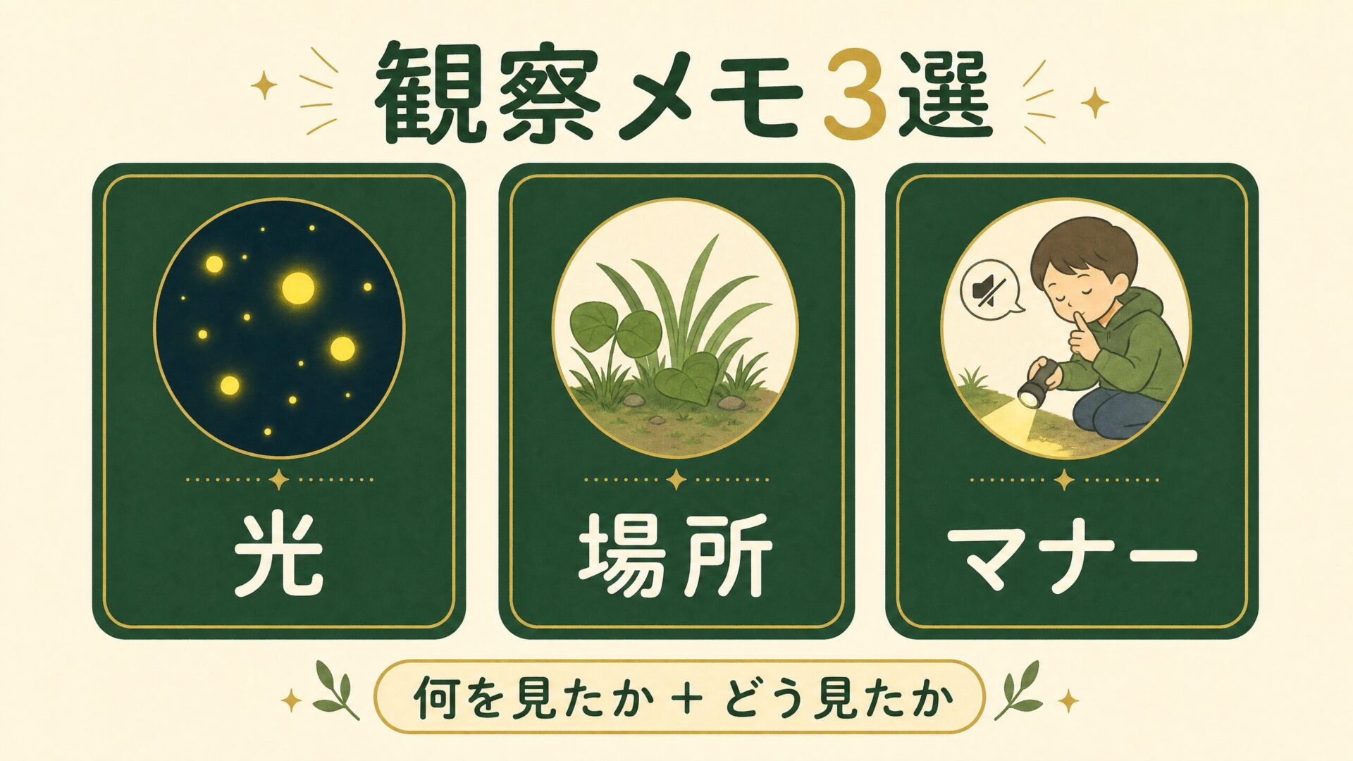 ヒメボタル観察ノートに残したい光と場所とマナーの視点