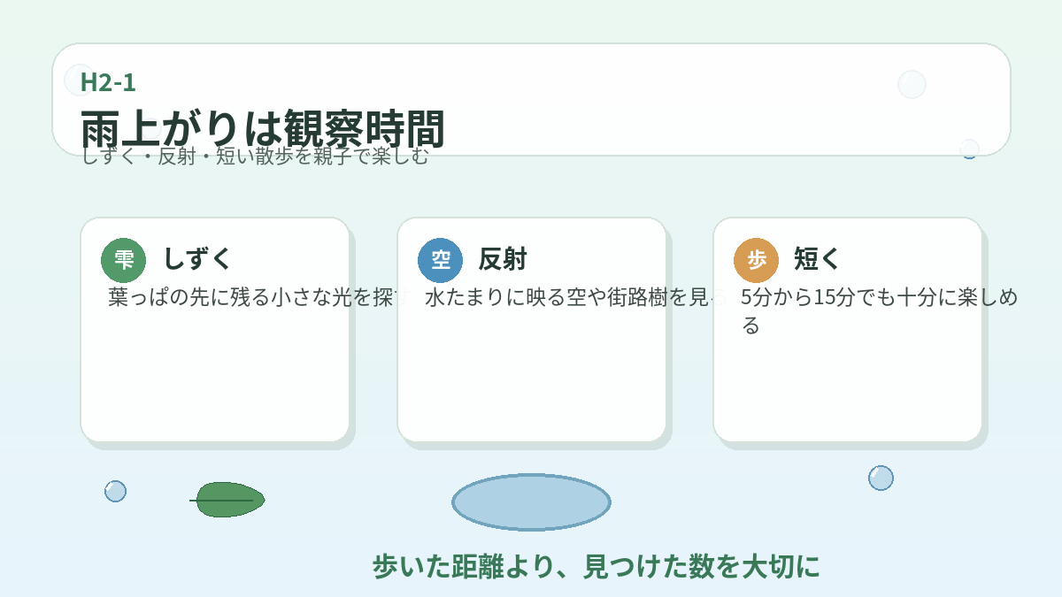 雨上がりの親子散歩で見つけたいしずくと水たまりの観察ポイント