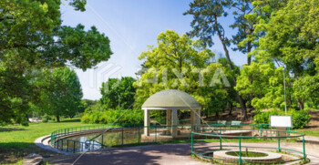 ちかくの森(服部緑地公園)