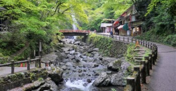 緑豊かなハイキングコース(箕面公園)