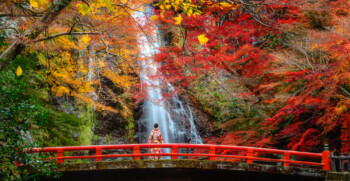 紅葉見頃の箕面大滝(箕面国定公園)