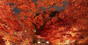 勝運の寺(勝尾寺)